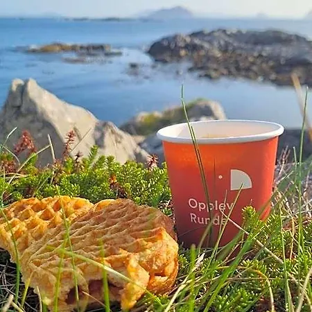 Runde Miljosenter & Opplev Runde 3* Fosnavåg